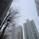 정인행정사사무소 이미지