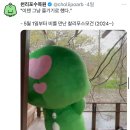 이니스프리산본 | 202505 : 5월인 것 치고 매우 서늘한 상태, 라식하고 광명 찾다, 또 한번의 사전투표, 그리고 여전히...