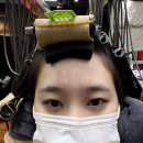 강남종합동물병원 미용실 | 의정부 ㅣ 의정부 미용실 찾는다고요? 근데 내 머리 뭐가 문제인지 모르겠다고요? 문제점 다 찾아주시는...