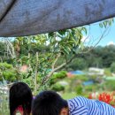 꼼지의 작은세상 이미지