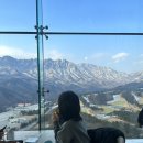 닥터 펠리체 짐 | .•바다도 산도 가득한 고성.•