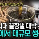 [Pick 사이언스] "석유 대신 뜬다!" 한국에서 대규모 생산 중인 ‘이것’의 정체? 바이오 경제의 핵심, 대한민국 친환경 소재 혁 이미지