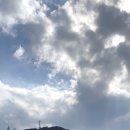 미소정육마트