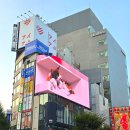 신주쿠야 | 도쿄 신주쿠 유명한 초밥 맛집 스시 잔마이 솔직 후기