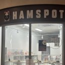 햄스팟 | 하남시 햄스터분양&amp;용품샵] 새로운 가족 입양해온 햄스팟 | 골든햄스터 블루도미장모 곰찌 | 찐방문후기🤍🩶🩵