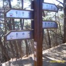 천우사 이미지