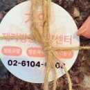 가연재가요양센터 이미지