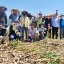 용산면 행정복지센터 이미지