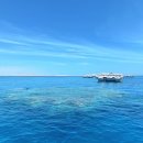 화이트아일랜드(피지) | 우당탕탕 좌충우돌 샴엘셰이크 다이빙 여행 끝!