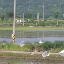 삼동암천 이미지