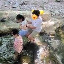 금화식당 티스토리