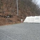 천문로 | 영천 별밤캠프 프1 사이트 후기 4살 6살 아이들과 다녀온 가족 캠핑장 추천