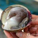 맛따라길따라 - 강릉시 | 맛따라길따라
