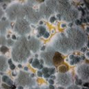 삼아세탁소 이미지