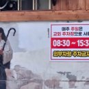 회성각 | 대구 탕수육 잘하는집 회성각본점 대명동맛집 가족 외식 만족 후기