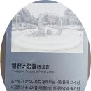 엽전조형물 이미지