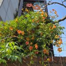 경일빌딩 주변 이미지