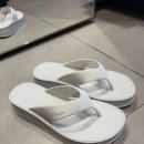 썬플랫폼 이미지