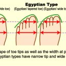 Foot Type - 내 발은 진화한 형태의 발인가? 혹은 그렇지 않은가? 이미지