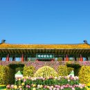 익산 천만송이 국화축제=10월 24일부터 11월 2일까지 이미지