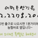 이펙트안경원 이미지