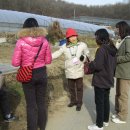 크린데이 이미지