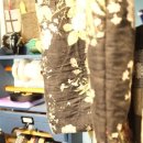 행복한 바느질쟁이 이미지