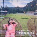 어비 포레스트 이미지