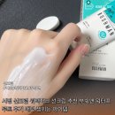 부쉬맨 | 서핑 선크림 워터파크 선크림 추천 부쉬맨 워터프루트 후기 매년 쟁이는 아이템