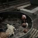 요골농장 네이버블로그