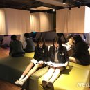 디자인프리