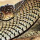 수성동물병원 이미지