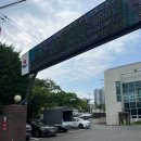 나무와피자 | 강릉 현지인 맛집 버드나무브루어리 송고피자 솔직 후기