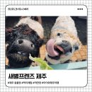 새별 | 제주 동물원 가볼만한곳 | 아이와 동물 먹이체험까지 되는 새별프렌즈 후기
