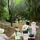 유아숲체험원(2) 이미지