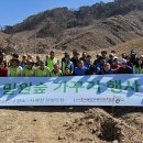 꿀벌목장 이미지