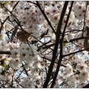 매여울생태공원 이미지