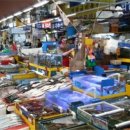 농수산물도매시장 이미지