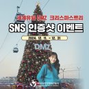 2025 해돋이 행사 이미지