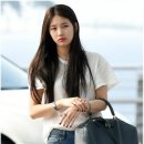 자라 앞 이미지