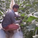 현제농장 이미지