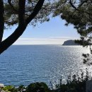 황소카인테리어 이미지