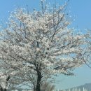 알프스프라임 이미지