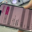 현주팜 | 도쿄 여행을 가장한 나니와단시 도쿄돔 (feat. 개무리 스케줄)