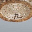 모래실길 이미지