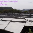 조양리마을회관 이미지