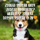 해피포우 이미지