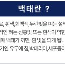 금촌뿌리사랑치과