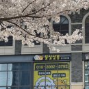 몽실쌀롱 이미지