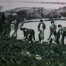 가내축산 이미지